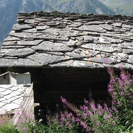 Alpia 26 - Zwei Zimmerwohnung In Traditionellem Walliser Haus Gasenried ภายนอก รูปภาพ