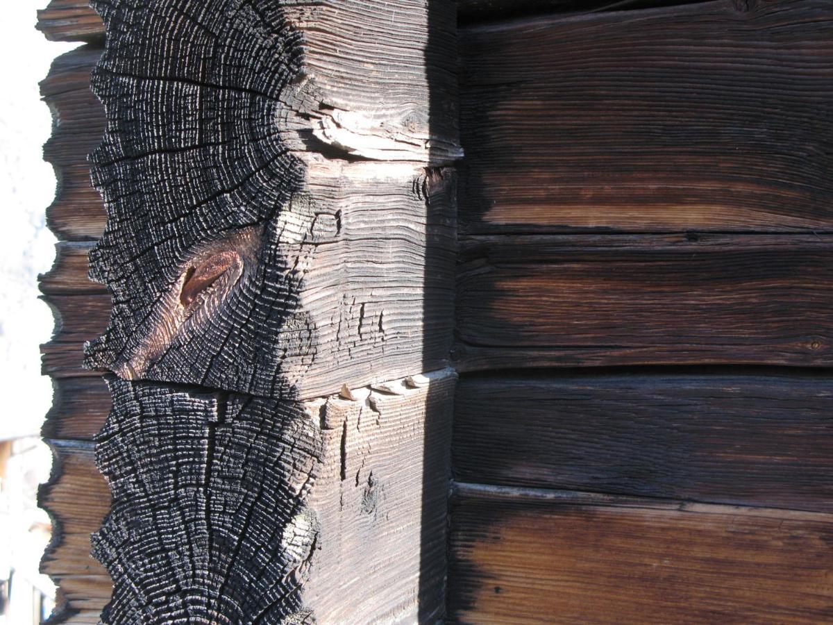 Alpia 26 - Zwei Zimmerwohnung In Traditionellem Walliser Haus Gasenried ภายนอก รูปภาพ