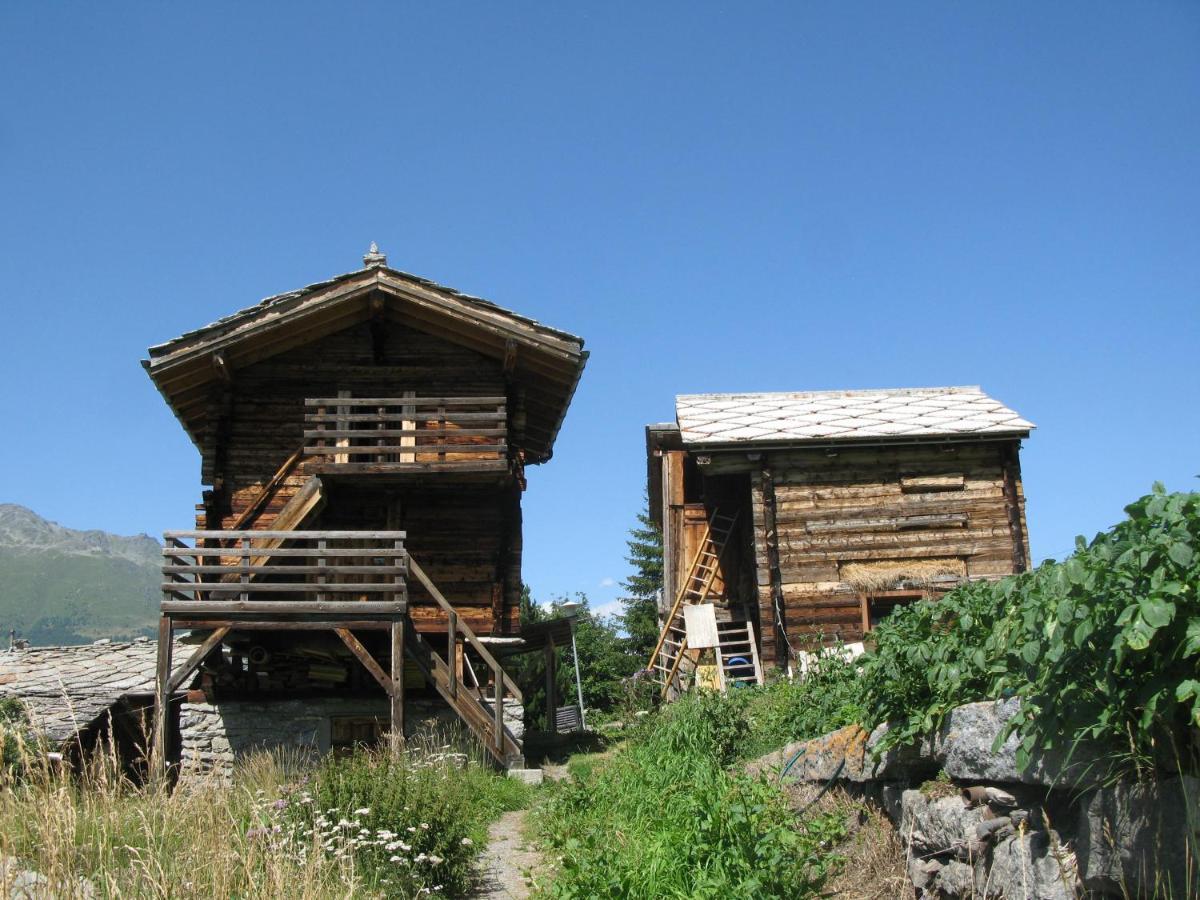 Alpia 26 - Zwei Zimmerwohnung In Traditionellem Walliser Haus Gasenried ภายนอก รูปภาพ