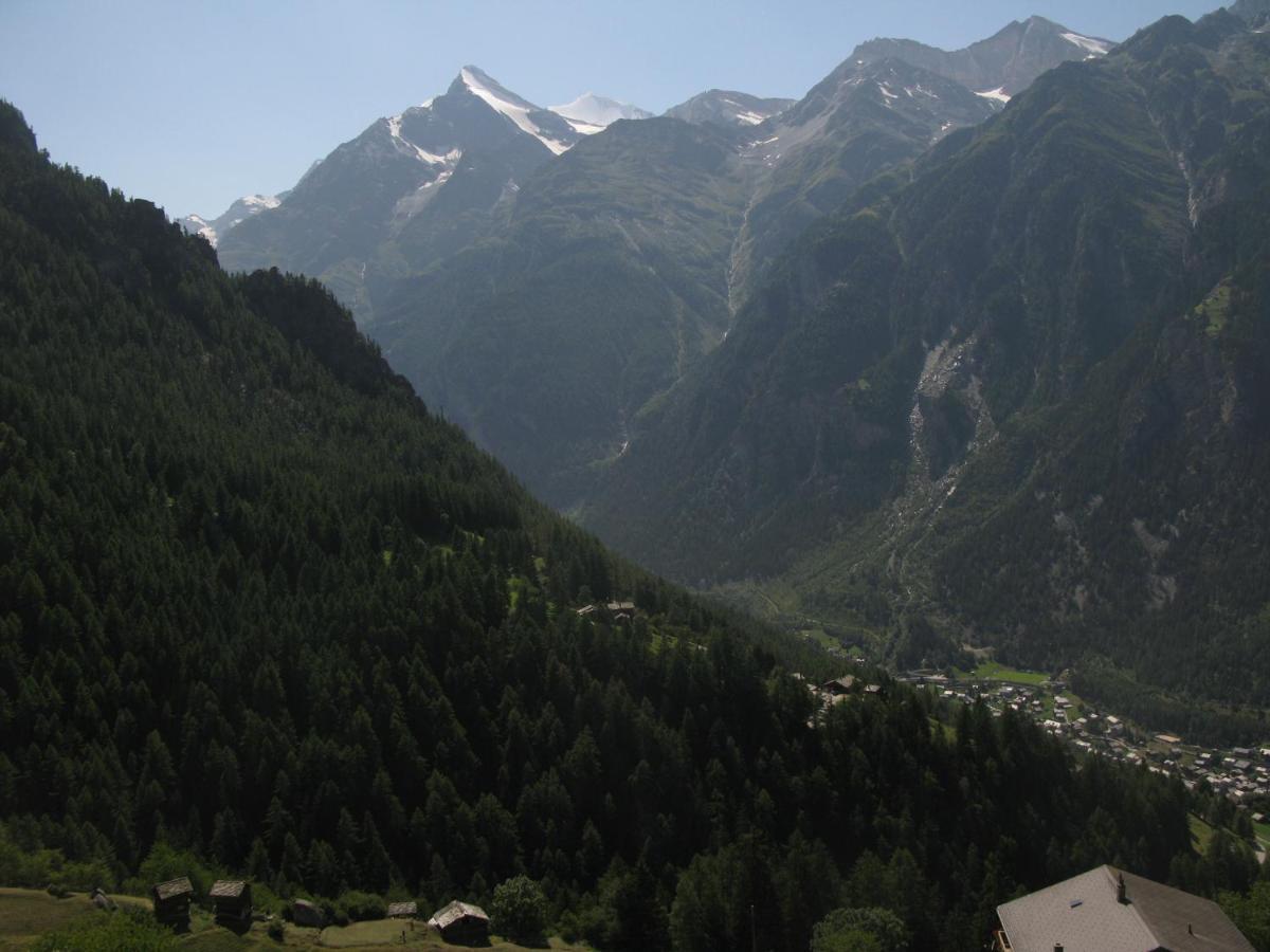 Alpia 26 - Zwei Zimmerwohnung In Traditionellem Walliser Haus Gasenried ภายนอก รูปภาพ